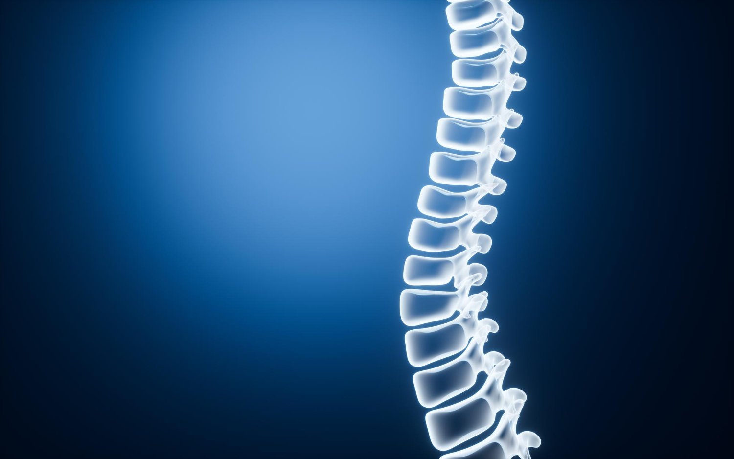 Spine