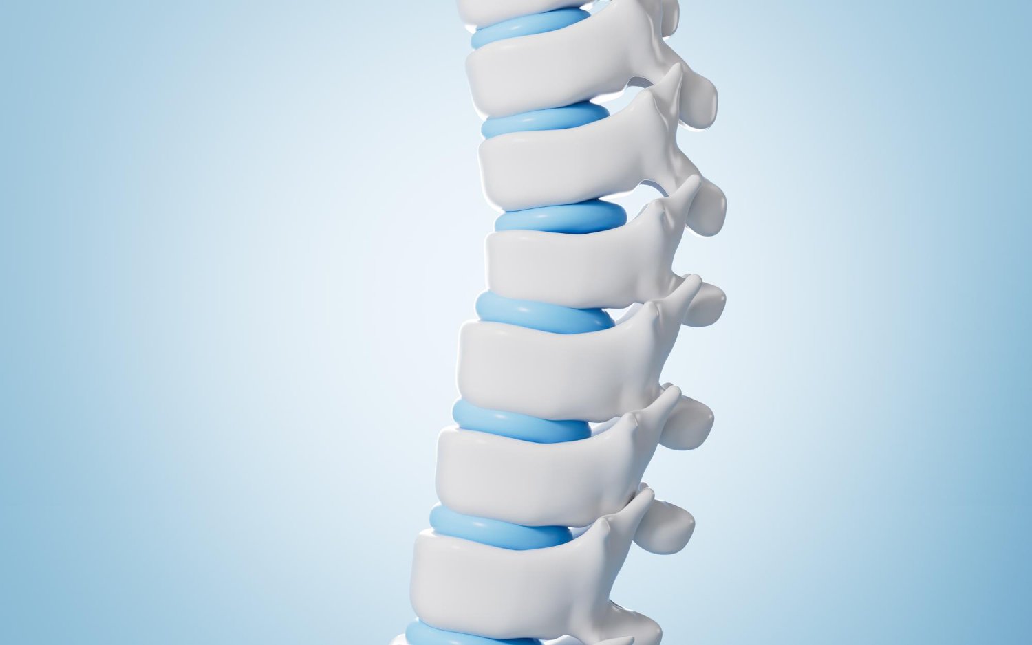 Spine
